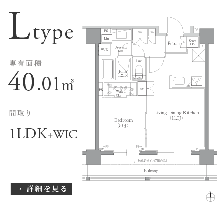 Ltype