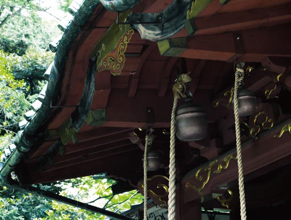 赤坂氷川神社/D