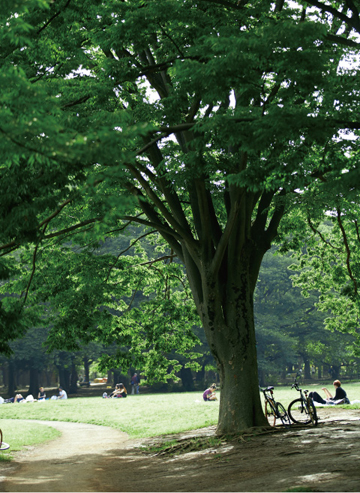 代々木公園