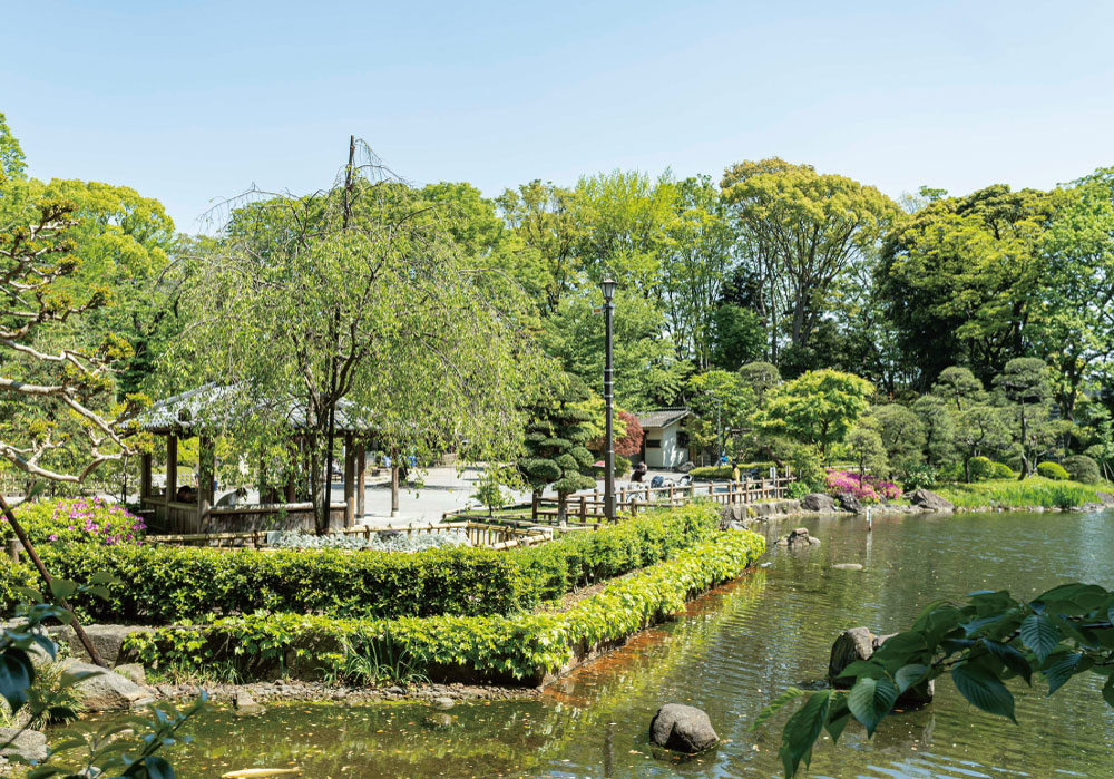 戸越公園（約350m・徒歩5分）