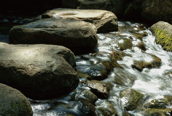 戸越公園（約350m・徒歩5分）
